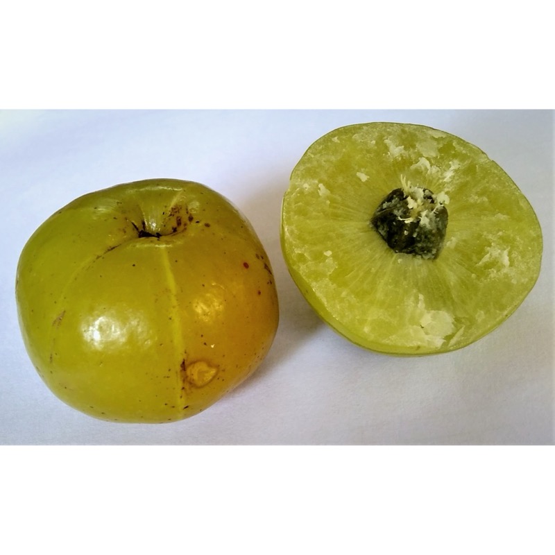 Amla Powder