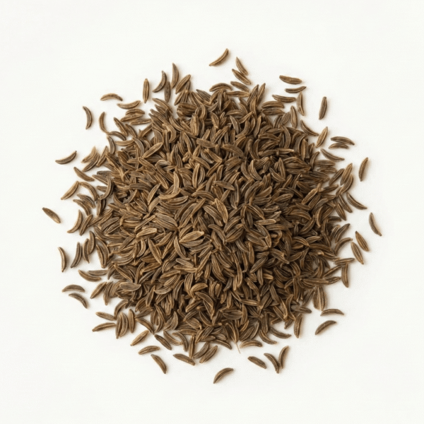 Caraway Seeds (BIO Kümmelsamen)