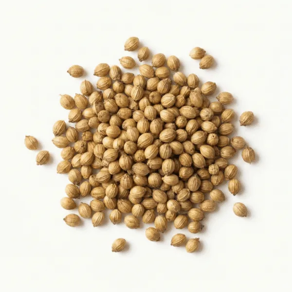 Coriander Seeds (BIO Koriandersamen)