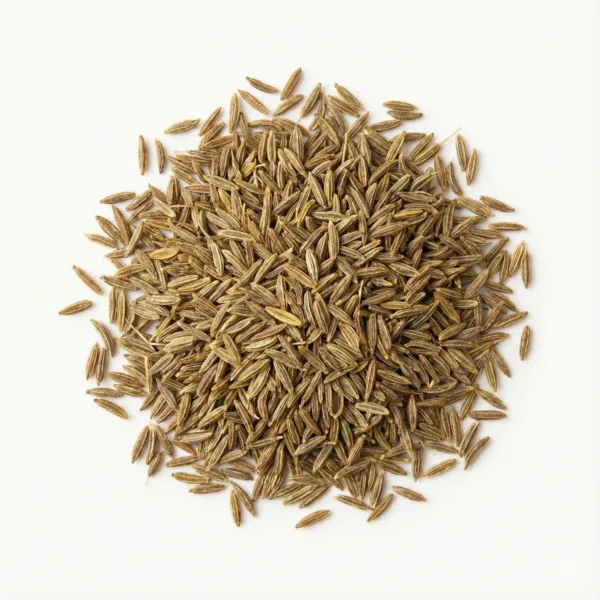 Cumin Seeds (BIO Kreuzkümmelsamen)
