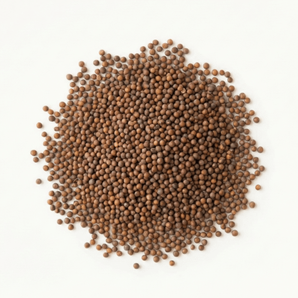 Mustard Seeds (BIO Senfsamen)