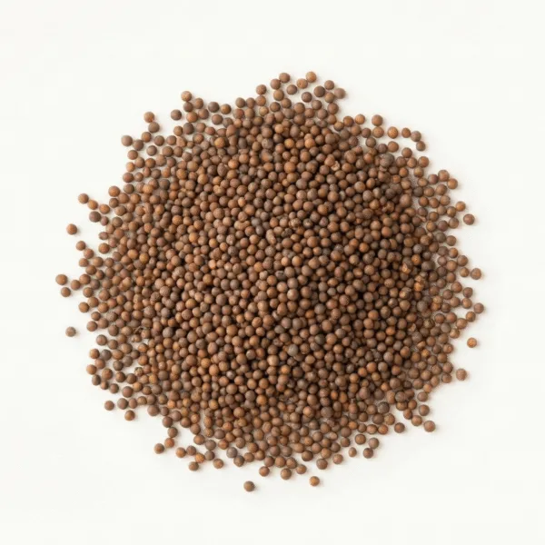 Mustard Seeds (BIO Senfsamen)