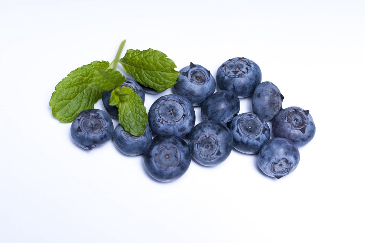 Blaubeer Pulver - Bald verfügbar