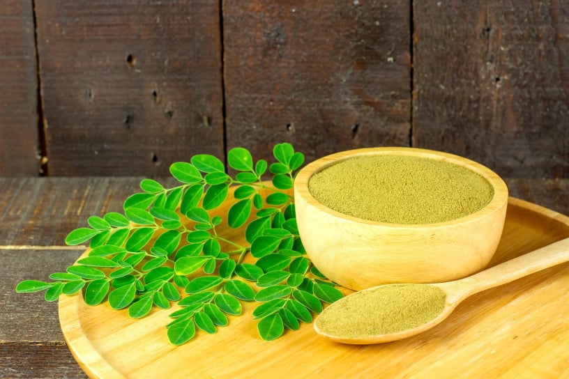 Moringa Blatt Pulver - Bald verfügbar